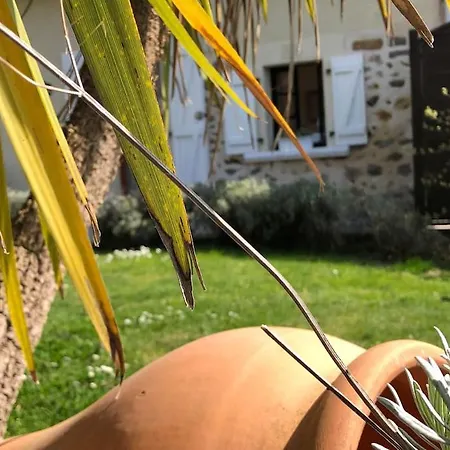 Le De Lou - Piscine Privative Et Massages Bien-etre * Mazerolles (Charente)